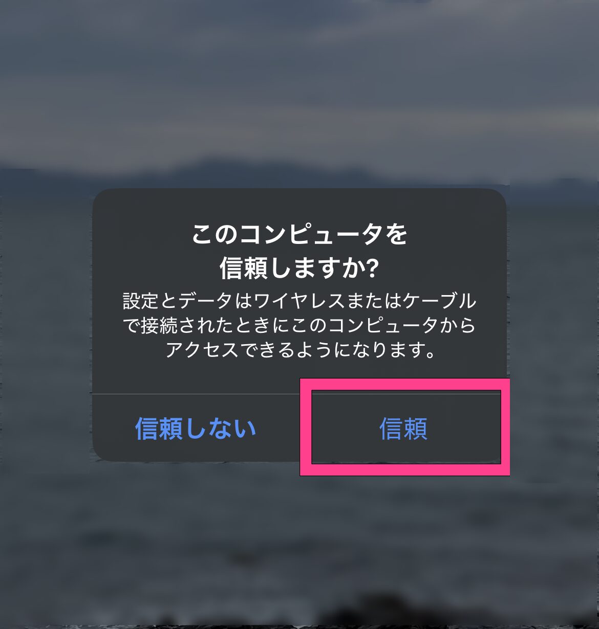 iPhone このコンピュータを信頼しますか? 表示画面
