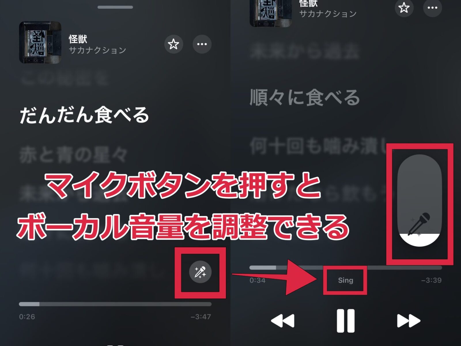 Apple Music Sing 方法 手順