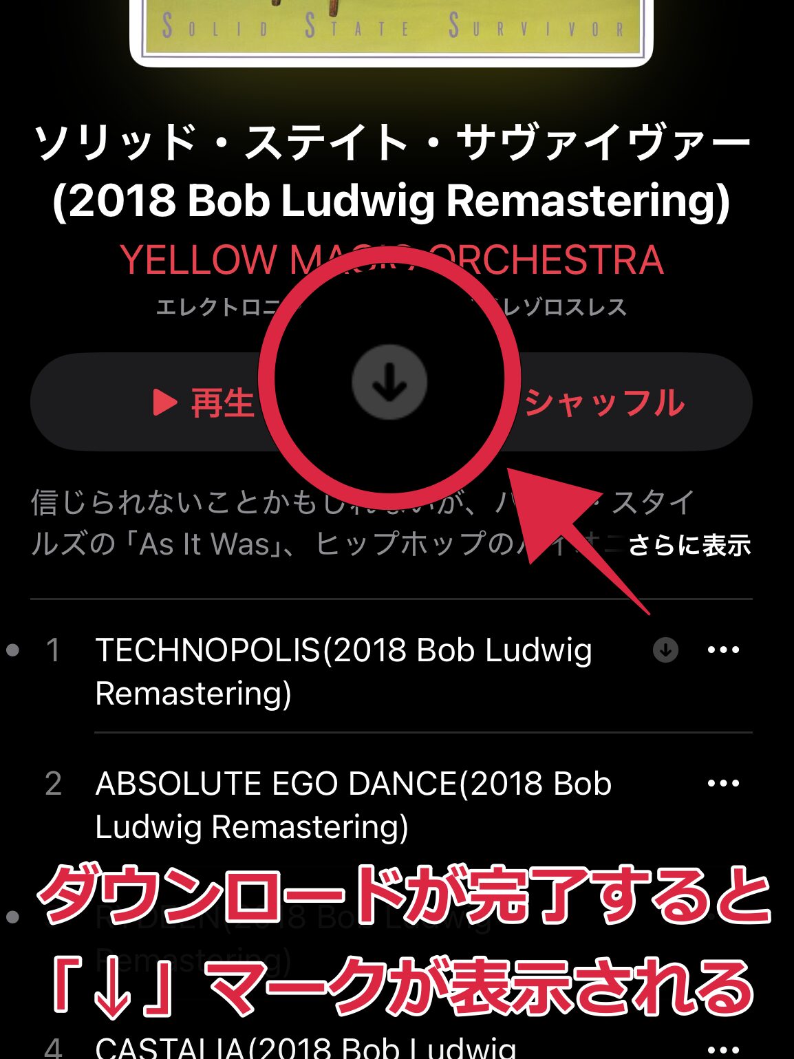 Apple Music 単曲ダウンロード 方法 手順 その3